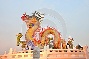 Dragon Chinese New Year,Chinese New Year activities