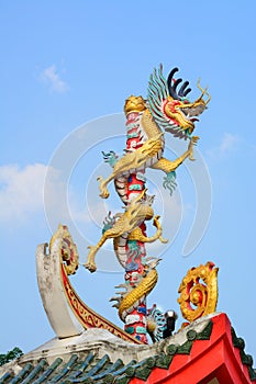 Dragon chinese in Temple