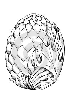 dragon egg with plants and leaves line sketch