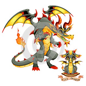 Dragon of Fire Element, puppy and adult