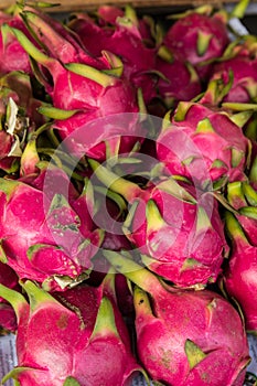 Dragon fruit