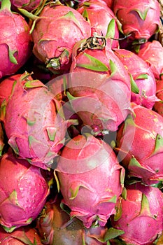 Dragon fruit