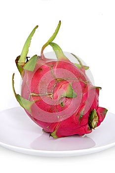 Dragon Fruit