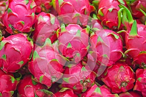 Dragon fruit