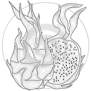 Dragon fruit.Coloring book antistress for children and adults