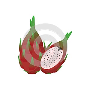 Dragon Fruit Flat Design Vector Illustration Isolated on a white background