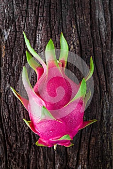 Dragon fruit fresh from the tree