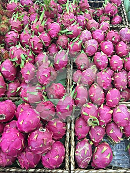 Dragon fruit fruit in the shelves.