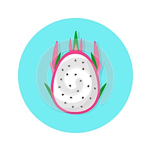 Dragon fruit icon, tropical fruit, cartoon flat icon, vector illustration isolated on white background