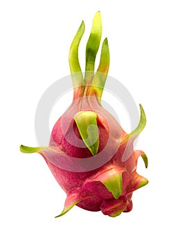 Dragon fruit isolated