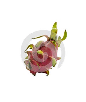 Dragon Fruit isolated against white background.