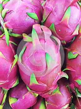 Dragon fruit on the market