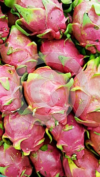 Dragon fruit