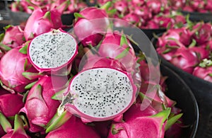 Dragon fruit in the market in thailand. Dragon fruit on plant