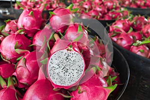 Dragon fruit in the market in thailand. Dragon fruit on plant