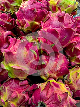 Dragon Fruit at Night Market