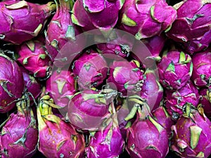 Dragon Fruit, Pitahaya, Pitaya Exotic deep pink Asian Juicy Fruits close up on display at a Fresh Fruit Market