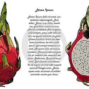 Dragon fruit or pitahaya. With text