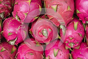 Dragon fruit, pitaya fruit at tropical fruits market.