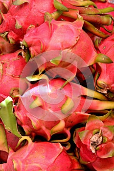Dragon fruit in red