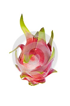 Dragon fruit single