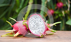 Dragon fruit slice on wooden with dragon fruit tree background - Fresh pitaya summer tropical fruit concept