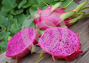 Dragon fruit, tropical fruits, Vietnam agriculture