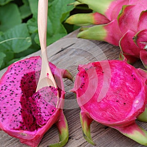 Dragon fruit, tropical fruits, Vietnam agriculture