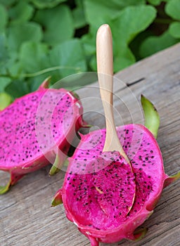 Dragon fruit, tropical fruits, Vietnam agriculture