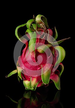 Dragon fruit vertically on a black background