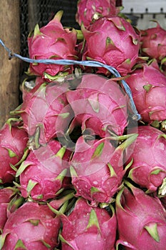 Dragon fruits, Phnom Penh, Cambodia.