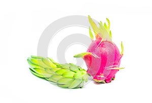 Dragon fuit raw, fruit dragon isolated on white background