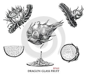 Dragon glass fruit hand drawing vintage style black and white clip art