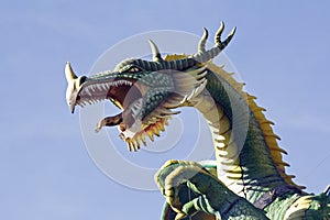 Dragon head photo
