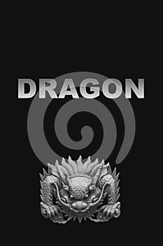 Dragon head on the black background