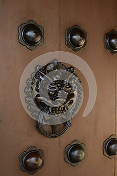 Dragon head brass door handle