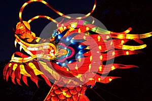 Dragon head Chinese lantern