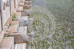 Dragon head decorations on marble railings, in Forbidden City, Beijing, China