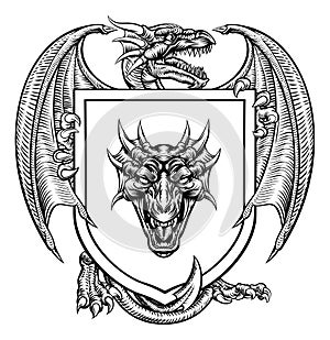 Dragon Heraldic Crest Coat of Arms Emblem Shield