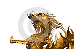 Dragon image