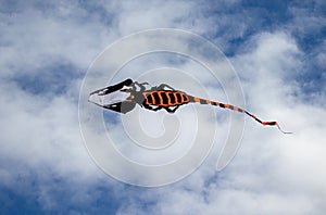 Dragon Kite flying in blue sky with cloudy in Andora, Italy
