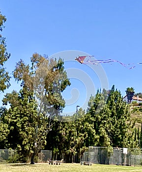 Dragon Kite Flying High