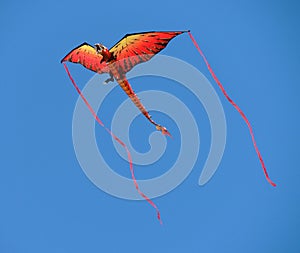 Dragon kite with streamers