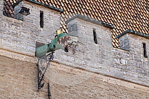 Dragon puts its head out of Town Hall, Tallinn, Estonia