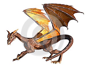 Dragon ready fly and to attack