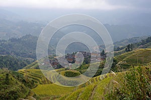 Dragon ridge Terraces