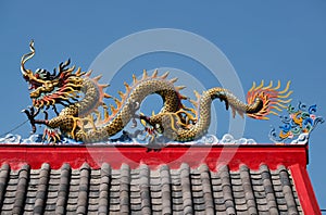 Dragon on roof of Chinesse shrine