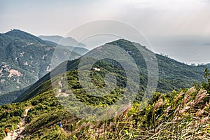 Dragon `s Back mountain trail, best urban hiking trail in Hong Kong photo