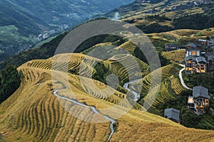 Dragon`s back rice terrace in Longji, China