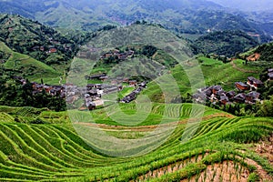 Dragon\'s Backbone Rice Terraces in Dazhai Village, Longsheng County, China